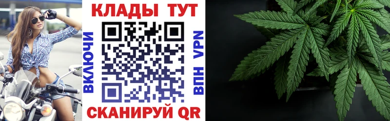 Как найти наркотики Грозный МЕТАДОН  Галлюциногенные грибы  ГАШИШ  МЕФ  Канабис  A-PVP  Амфетамин 
