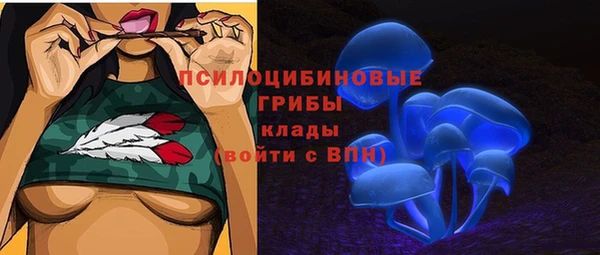 а пвп мука Верхний Тагил