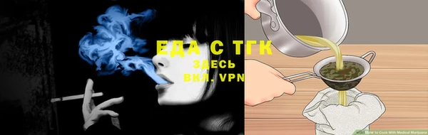шишки Слюдянка
