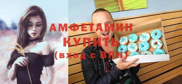 шишки Слюдянка